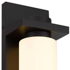 Bronze Colorful LED Dimmable Outdoor Hanging Light