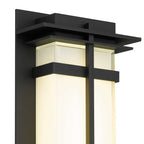Black Colorful LED Dimmable Outdoor Hanging Light