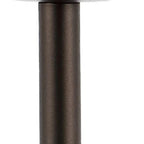 12" Antiqued Bronze Novelty USB Table Lamp With Globe Shade