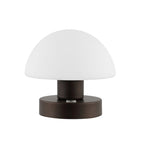 6" Antiqued Bronze Novelty USB Table Lamp With Dome Shade