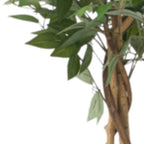 59" Green Artificial Ficus Tree In Cylindrical Black Pot