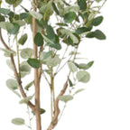 71" Green Artificial Eucalyptus Tree In Cylindrical Black Pot