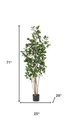 71" Green Artificial In Cylindrical Black Pot