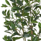 64" Green Artificial In Cylindrical Black Pot