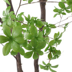 118" Green Artificial In Cylindrical Black Pot