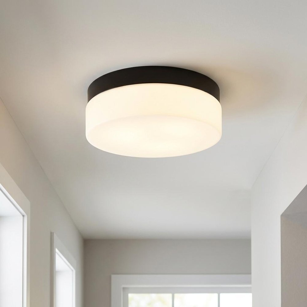 11" Black Metal And Glass Flush Mount Ceiling Light