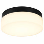 11" Black Metal And Glass Flush Mount Ceiling Light