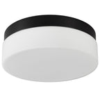 11" Black Metal And Glass Flush Mount Ceiling Light