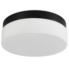 11" Black Metal And Glass Flush Mount Ceiling Light