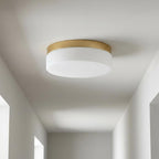 11" Black Metal And Glass Flush Mount Ceiling Light