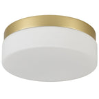 11" Black Metal And Glass Flush Mount Ceiling Light