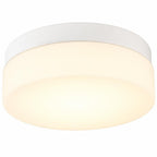 11" Black Metal And Glass Flush Mount Ceiling Light