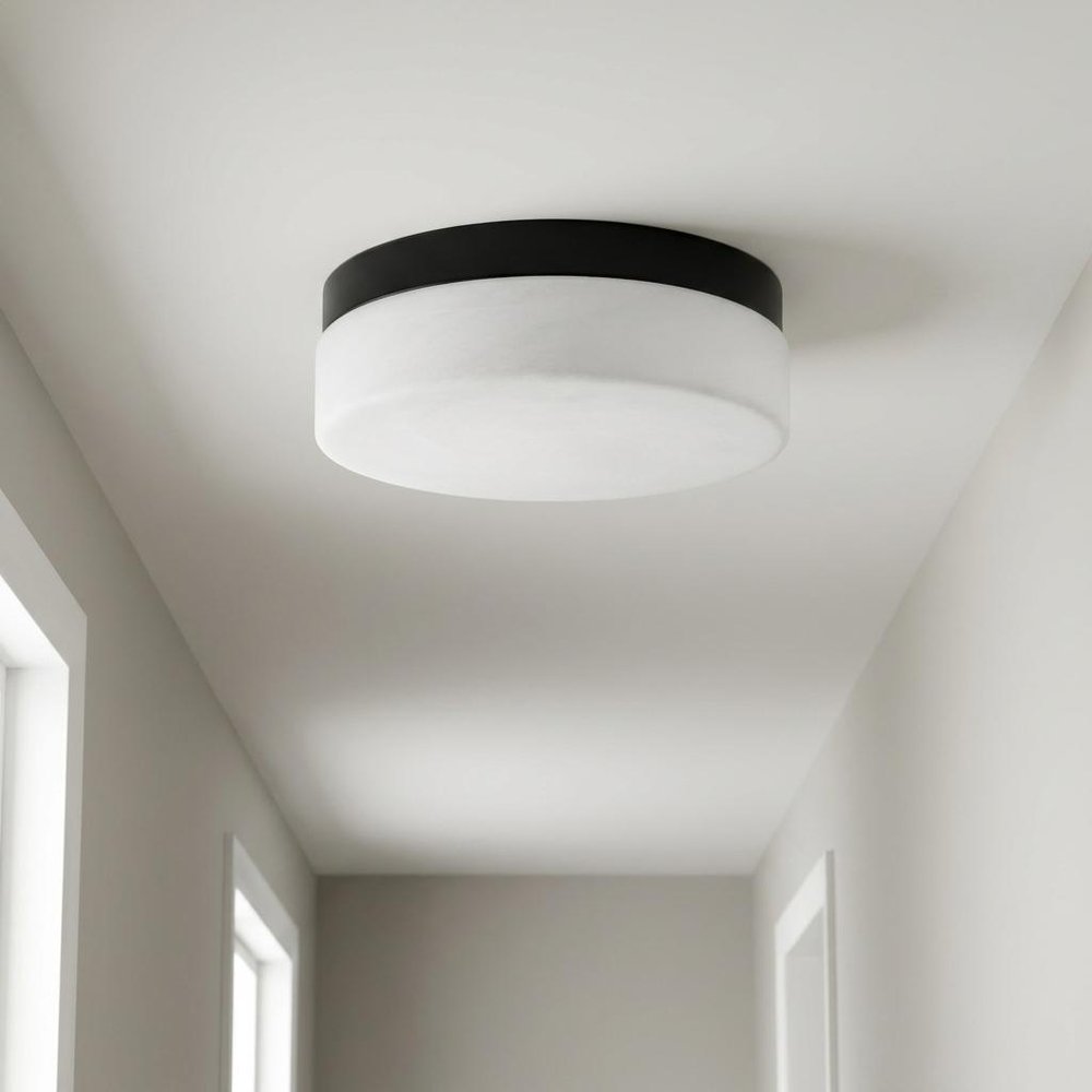11" Black Metal And Frosted Glass Flush Mount Ceiling Light