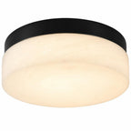 11" Black Metal And Frosted Glass Flush Mount Ceiling Light