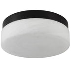 11" Black Metal And Frosted Glass Flush Mount Ceiling Light