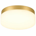 11" Black Metal And Frosted Glass Flush Mount Ceiling Light