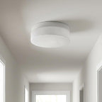 11" Black Metal And Frosted Glass Flush Mount Ceiling Light