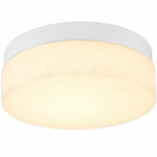 11" Black Metal And Frosted Glass Flush Mount Ceiling Light