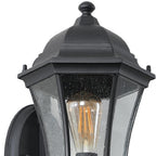 Black Transparent Outdoor Hanging Light With Clear Shades