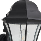 Black Transparent Outdoor Hanging Light With Clear Shades
