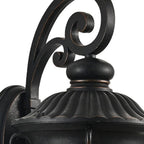 Black Transparent Outdoor Hanging Light With Clear Shades