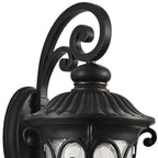 Black Transparent Outdoor Hanging Light With Clear Shades