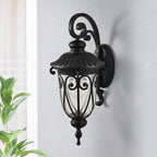 Black Transparent Outdoor Hanging Light With Clear Shades
