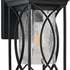 Black Transparent LED Outdoor Hanging Light