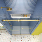 74" X 48" Tempered Glass Shower Door