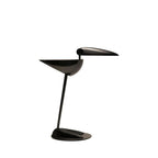 17" Black Two Light Swing Arm Bird Desk Lamp