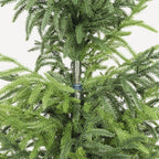 48" Green Artificial Pine Tree In Round Black Pot