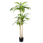 60" Green Artificial Dracaena Tree In Round Black Pot