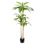 60" Green Artificial Dracaena Tree In Round Black Pot