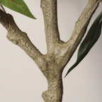 60" Green Artificial Eucalyptus Tree In Round Black Pot