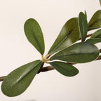 84" Green Artificial Olive Tree In Round Black Pot