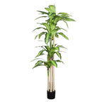 72" Green Artificial Dracaena Tree In Round Black Pot