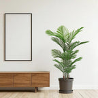 Set of Two 62" Green Artificial Palm Tree In Round Black Pot