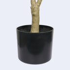 60" Green Artificial Olive Tree In Round Black Pot