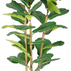 62" Green Artificial Fiddle Leaf Tree In Round White Pot