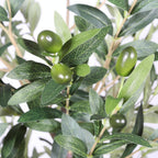 72" Green Artificial Olive Tree In Round Black Pot