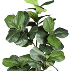 84" Green Artificial Fiddle Leaf Tree In Round Black Pot