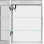 20" Silver Glass Wall Mounted No Textural Detailing Single Door Medicine Cabinet