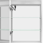 20" Silver Glass Wall Mounted No Textural Detailing Single Door Medicine Cabinet