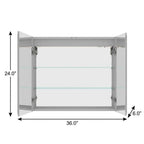 36" Silver Glass Wall Mounted No Textural Detailing Double Door Medicine Cabinet