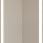 20" Silver Glass Wall Mounted No Textural Detailing Double Door Medicine Cabinet
