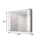 36" Silver Glass Wall Mounted No Textural Detailing Double Door Medicine Cabinet