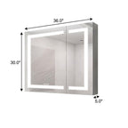 36" Silver Glass Wall Mounted No Textural Detailing Double Door Medicine Cabinet