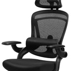 Black Swivel Rolling Office Chair