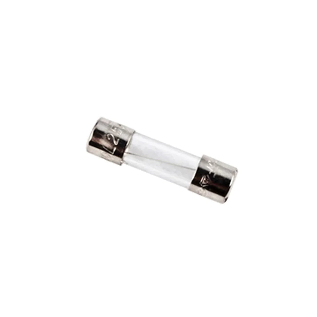 Aleko Fuse 10A 250V for LM901/902 DSC/DSR AS450/650/900/1300
