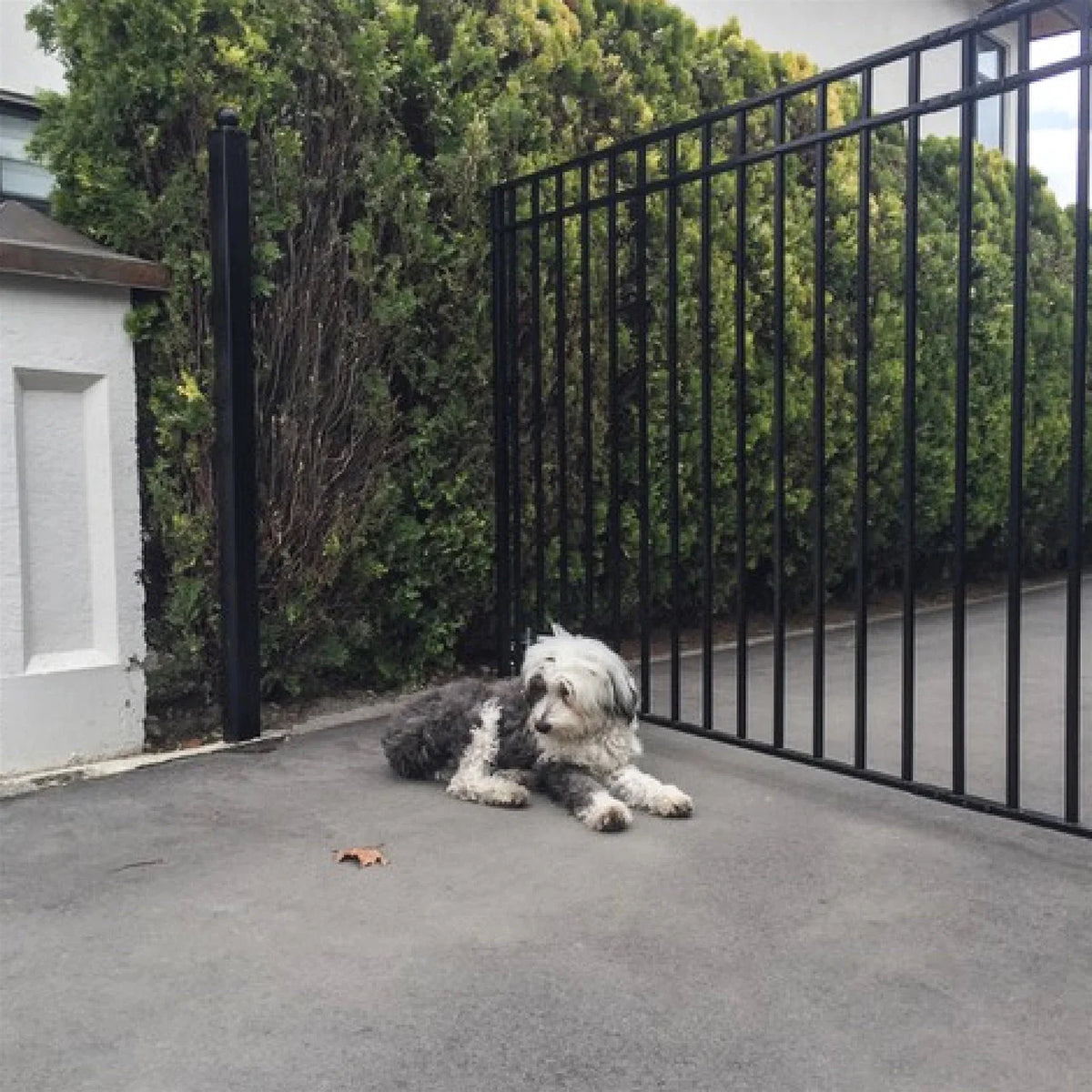 Aleko Steel Single Swing Driveway Gate - MADRID Style - 18